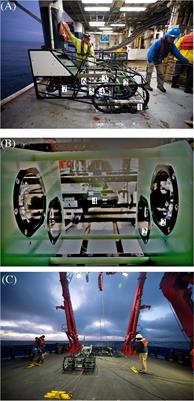 Edge computing at sea: high-throughput classification of in-situ plankton imagery for adaptive sampling